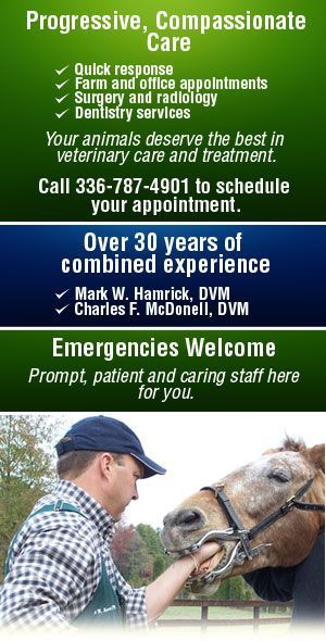 Large Animal Veterinary Service