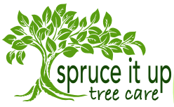 Spruce It Up Tree Care - Logo