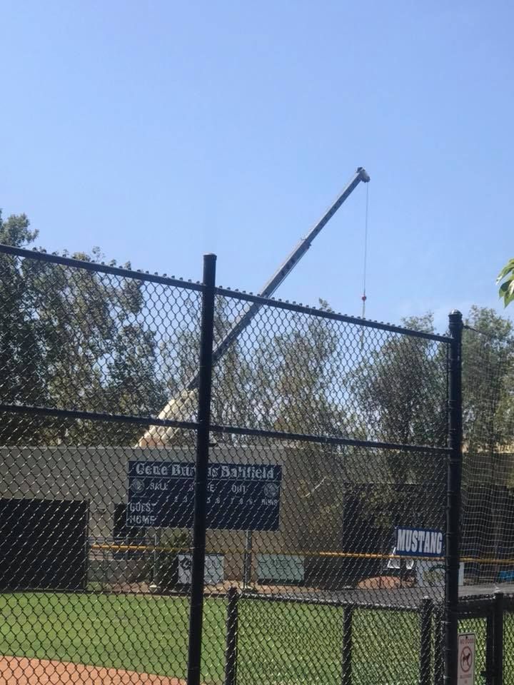 A baseball field with a black fence, a crane in the sky, and trees in the background.