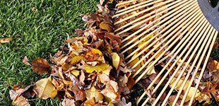 Fall cleanups