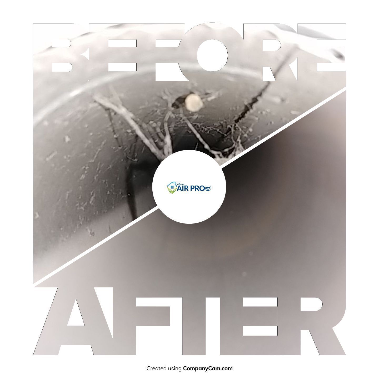 A picture of a spider before and after being removed from a pipe.