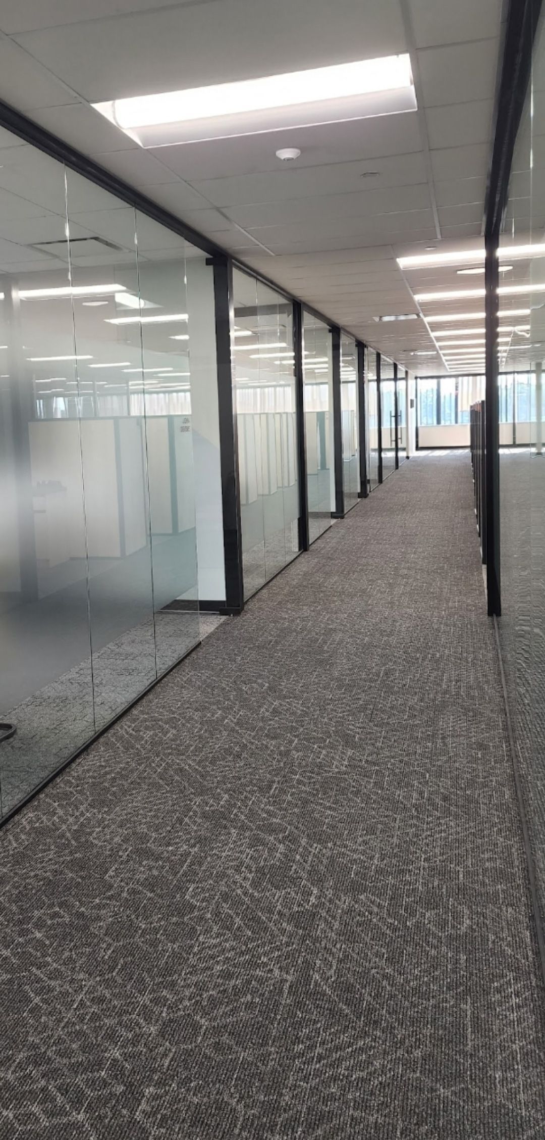 A long office hallway with a mottled gray carpet and glass-walled conference rooms on the left.