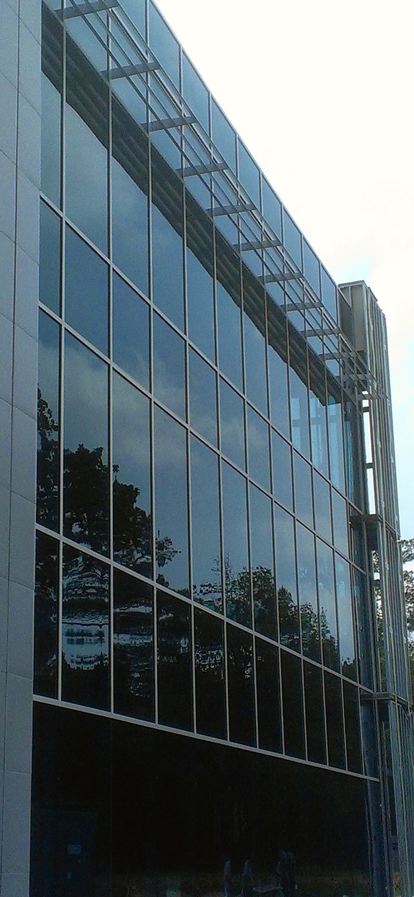 A tall, modern office building exterior with a glass curtain wall reflecting surrounding trees against a bright sky.