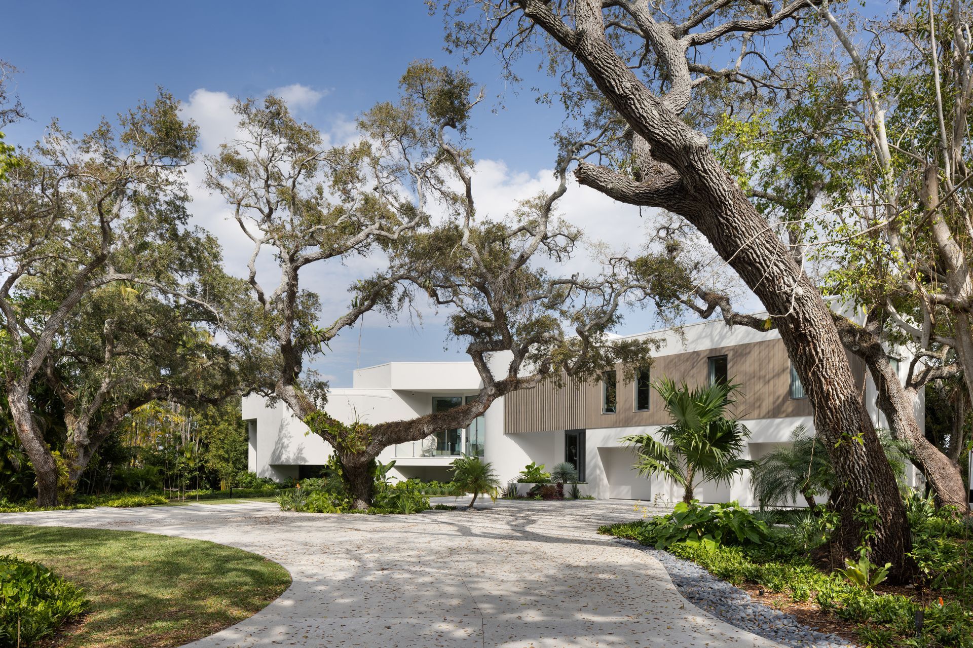 Modern white house with arched trees and sandy driveway.