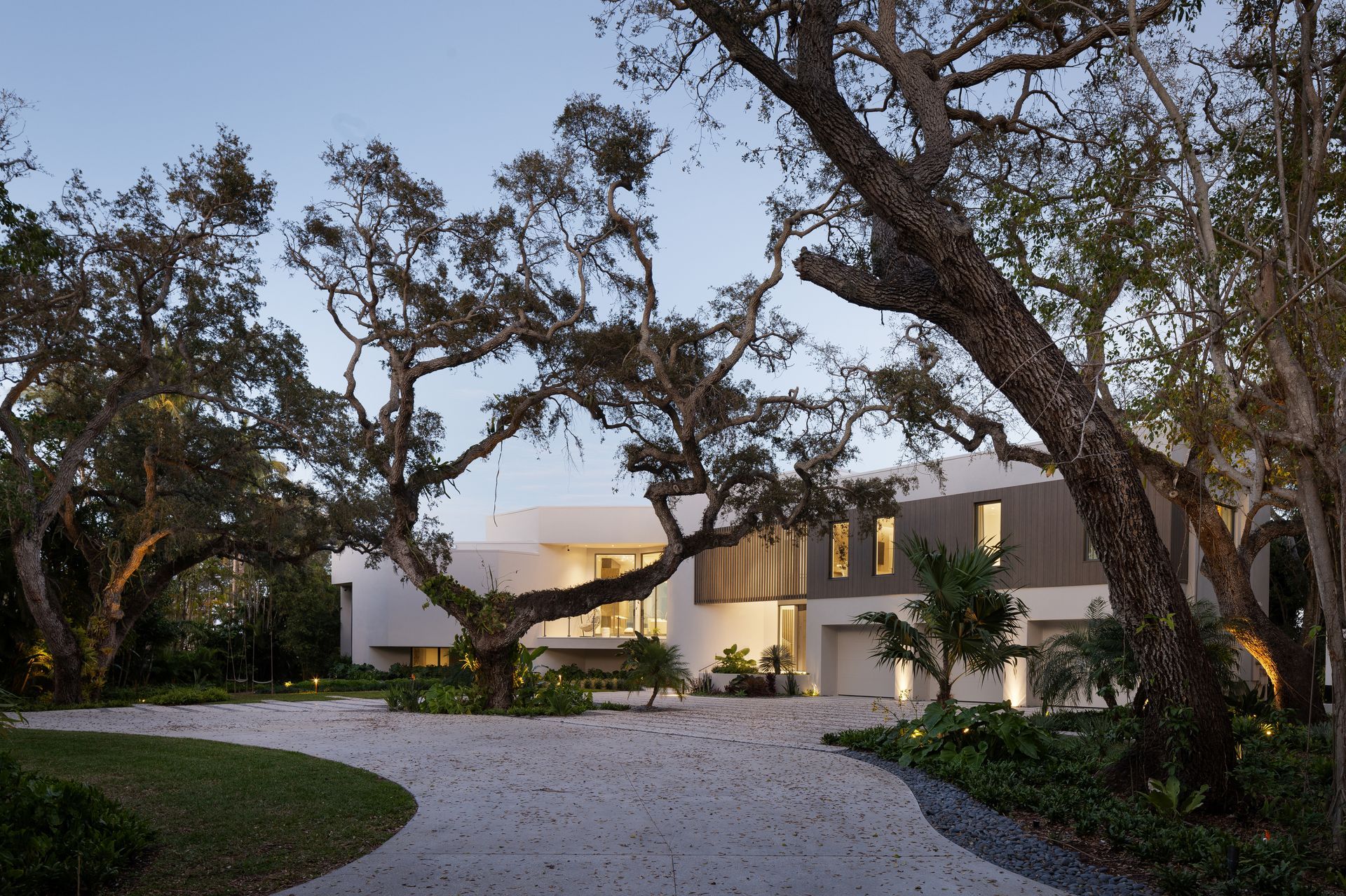Modern white house with gravel driveway, framed by large, gnarled trees.