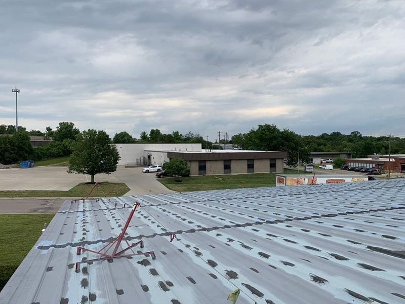 View from a rooftop: buildings, trees, overcast sky. Red safety device in foreground.