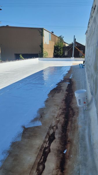 White roof being painted, a strip of old roof exposed. Paint bucket visible. Sunny day.