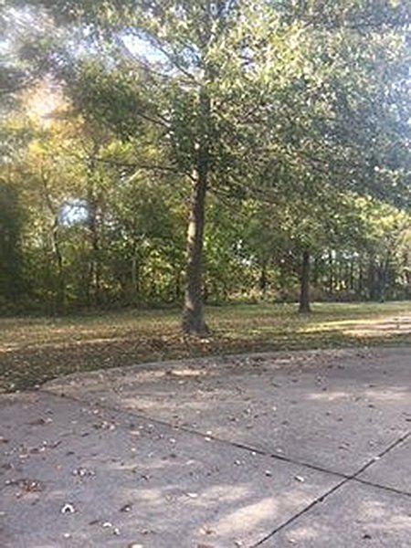 Spacious lot and trees