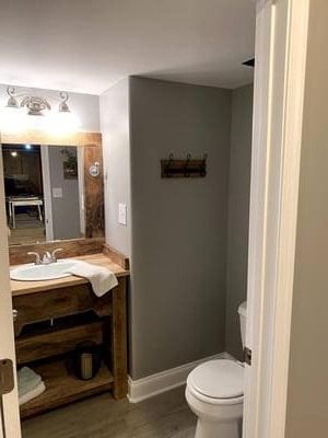 A bathroom with a sink , toilet and mirror.