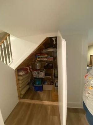 There is a closet under the stairs with a door open.