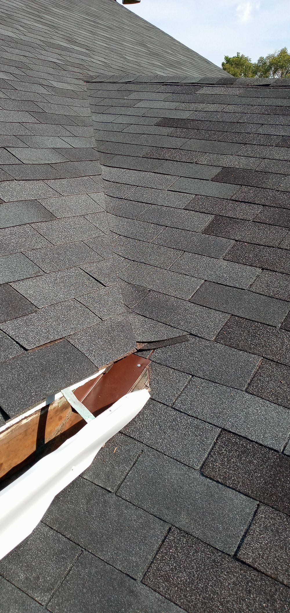 Roof with shingles