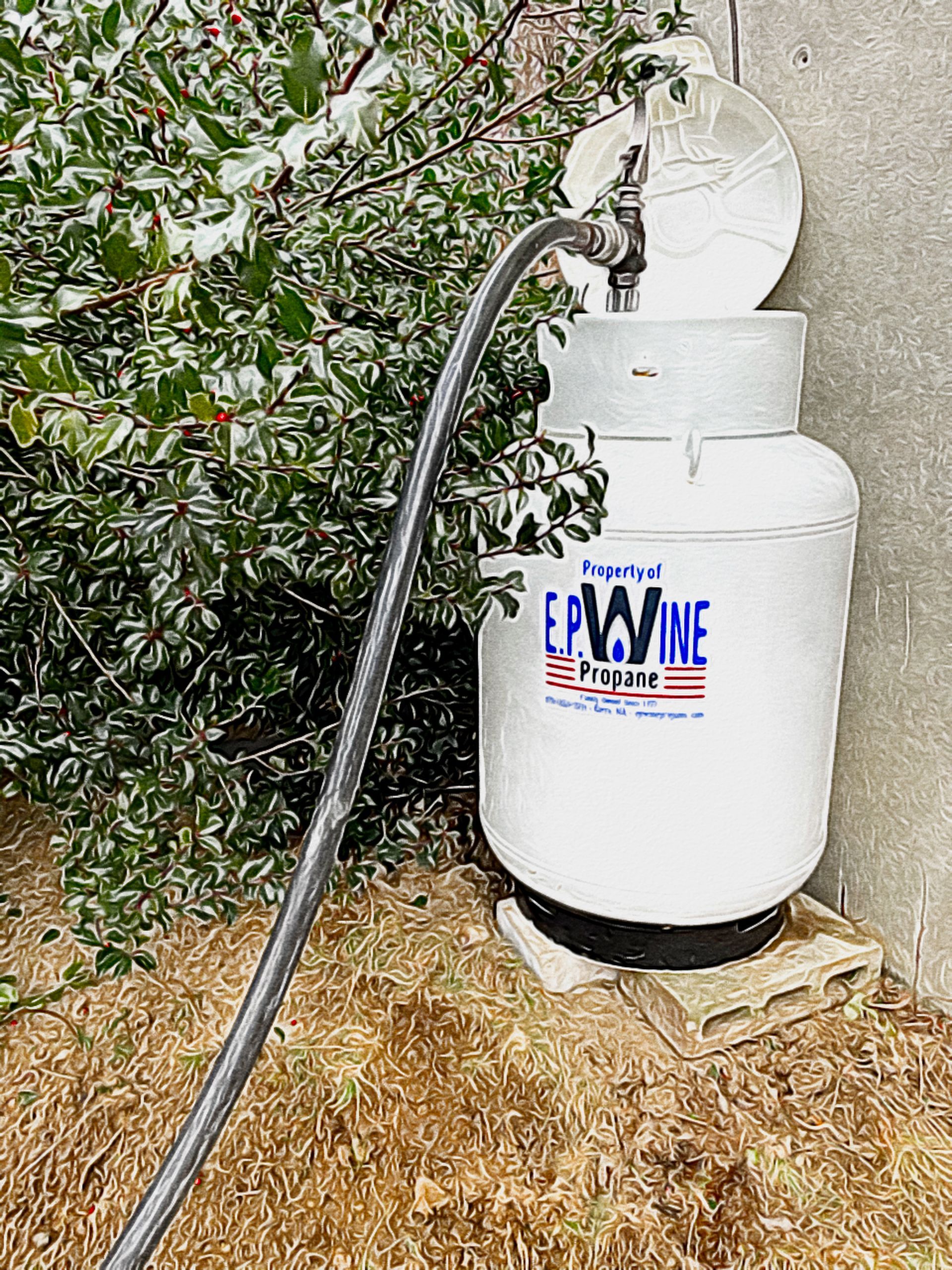 White propane tank with hose connected, next to bush.