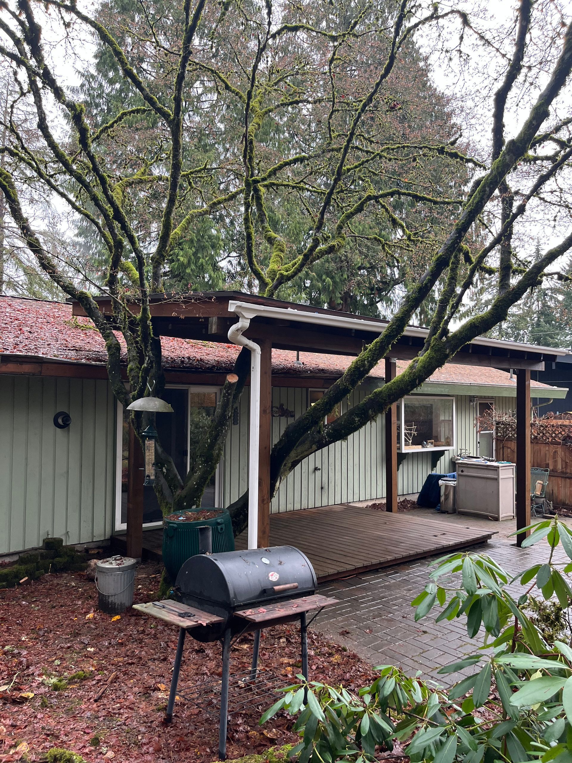 A barbecue grill is sitting under a tree in front of a house.