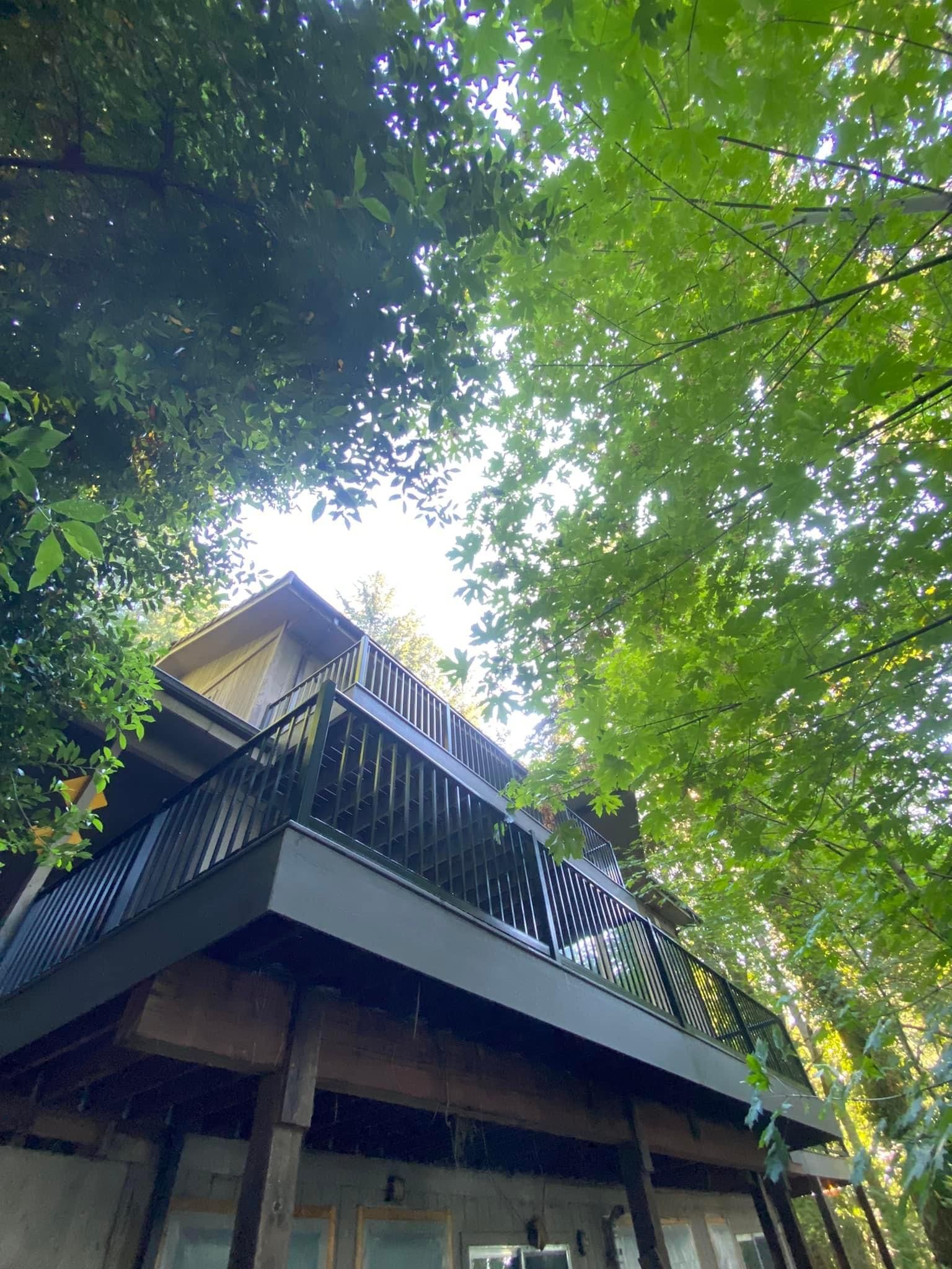 Looking up at a house with a balcony surrounded by trees.