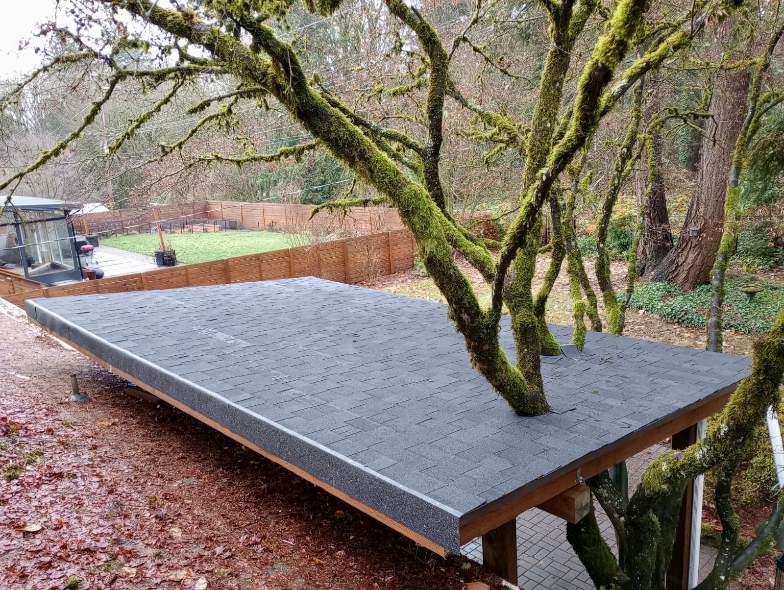 A tree is sitting on top of a wooden platform in the woods.