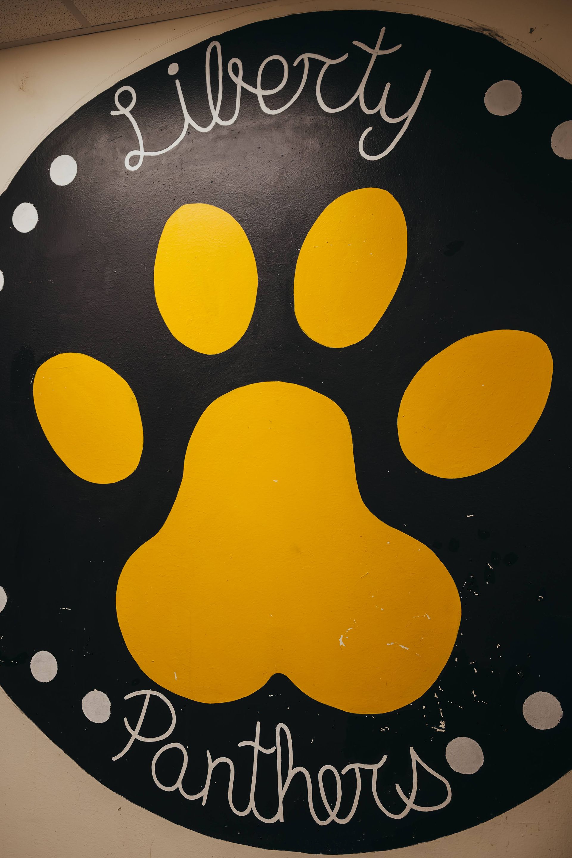 Liberty Panthers logo with yellow paw print on a black background; white text and dots.