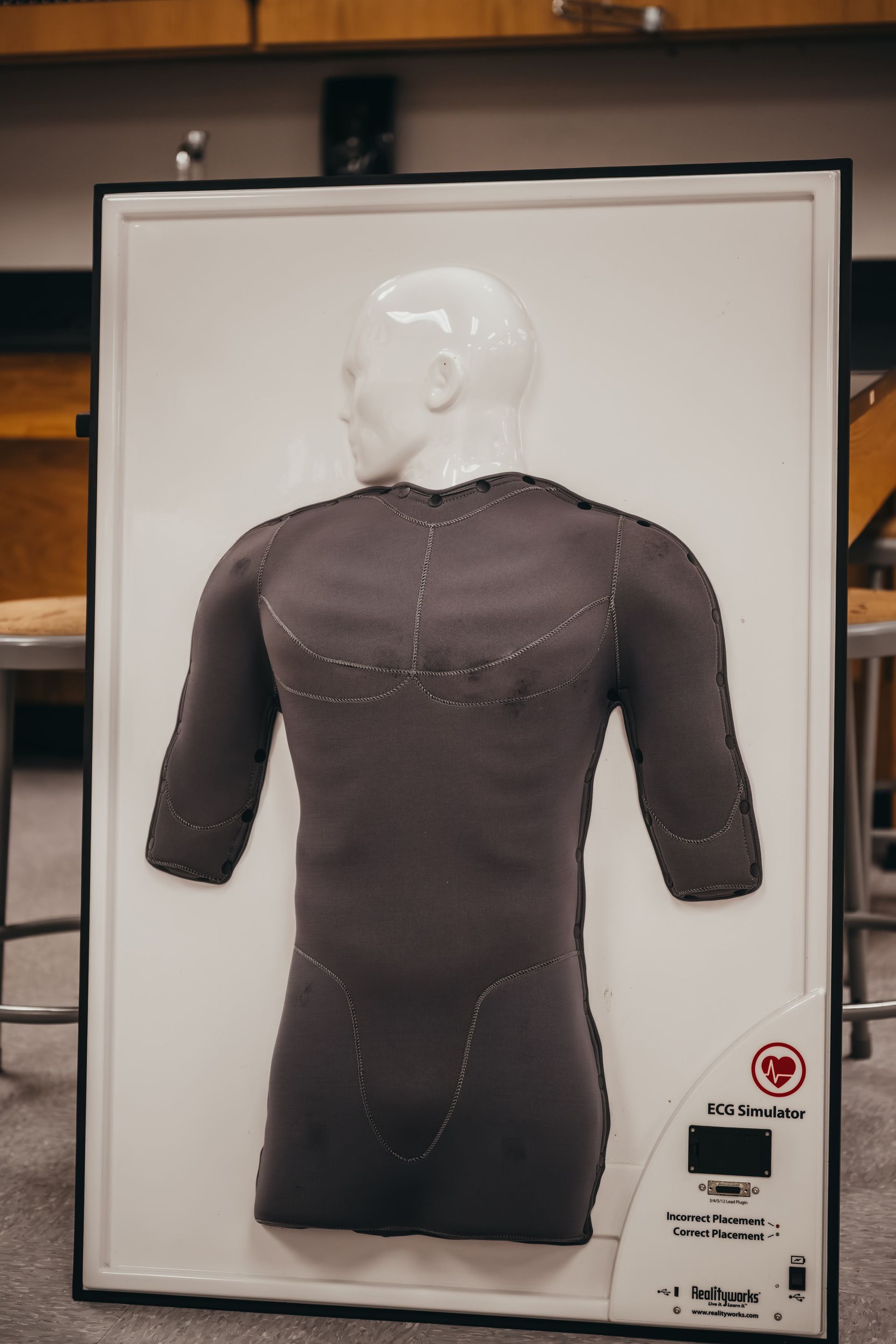 Mannequin torso in gray compression suit on white board, used for CPR training.
