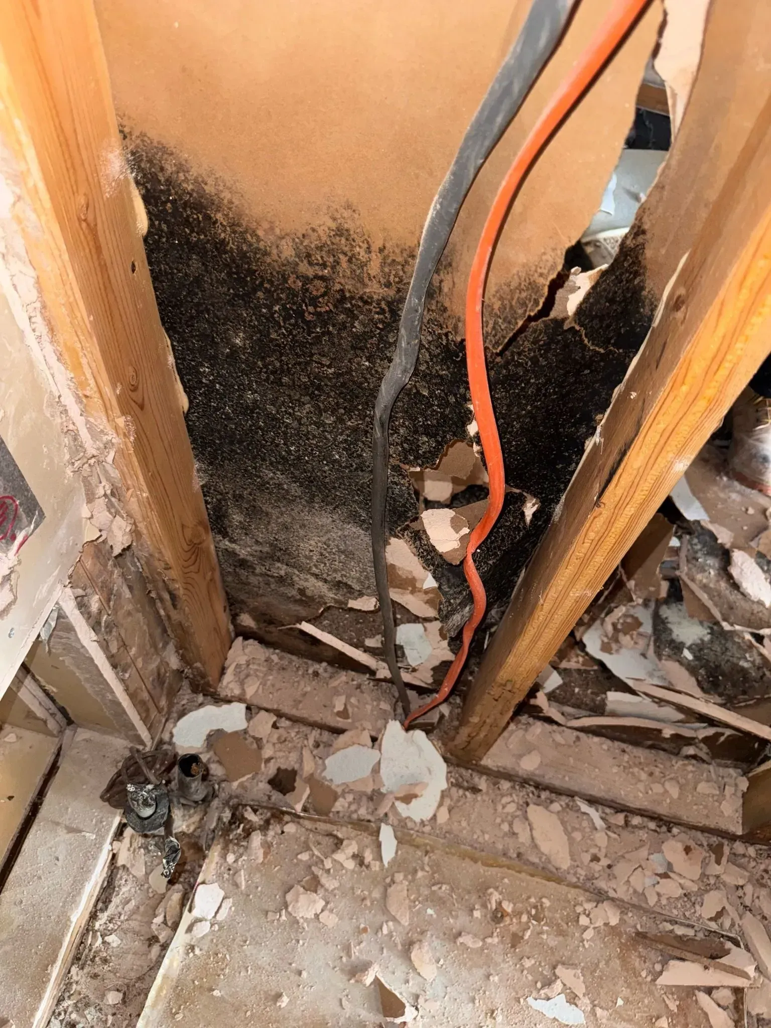 Moldy ceiling with exposed wires and wood beams.