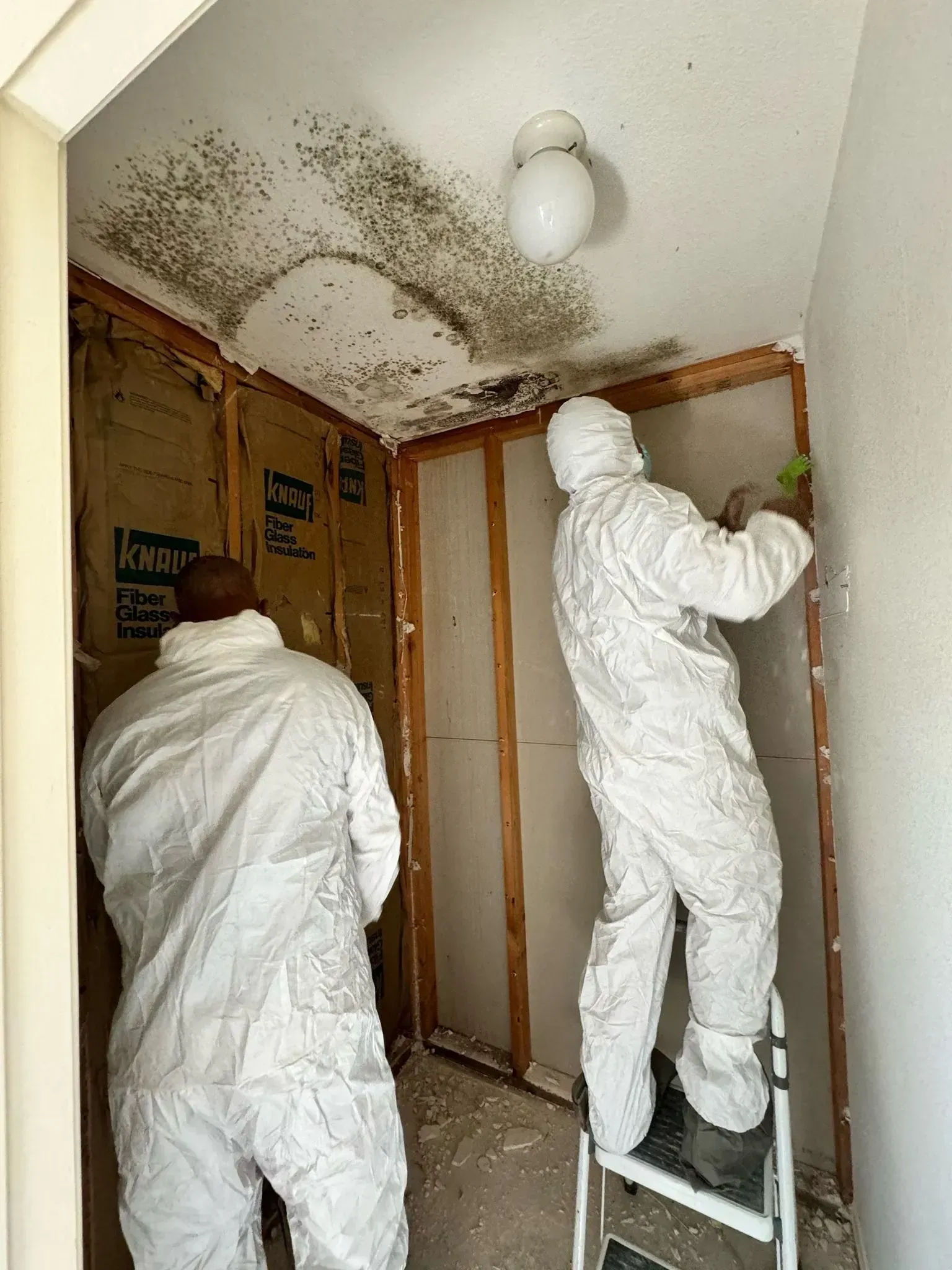 Two people in white protective suits remove mold from a room's walls and ceiling.