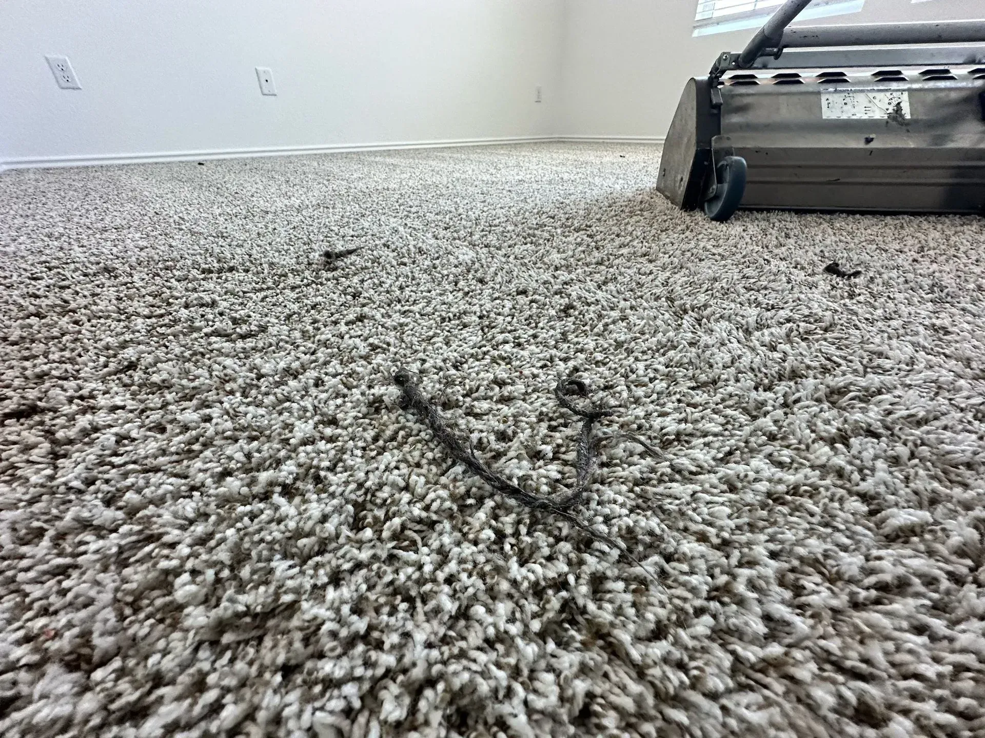 A low-angle view of a carpet being cleaned with a machine. The carpet is beige and has some debris on it.