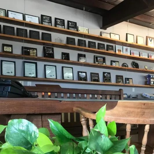 Shelves of framed plaques and awards above a wooden counter with green plants in the foreground
