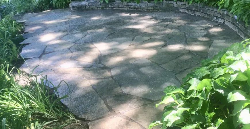 A circular stone patio surrounded by lush green foliage and garden plants, dappled with light and shadow.