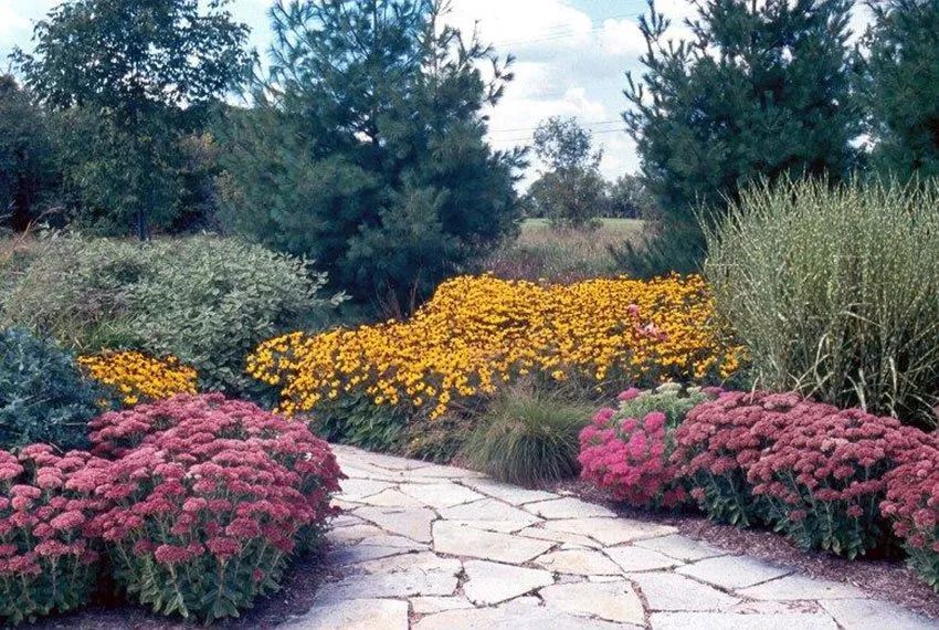 A flagstone path winds through a vibrant garden featuring pink sedum blooms and golden flowers under a partly cloudy sky.