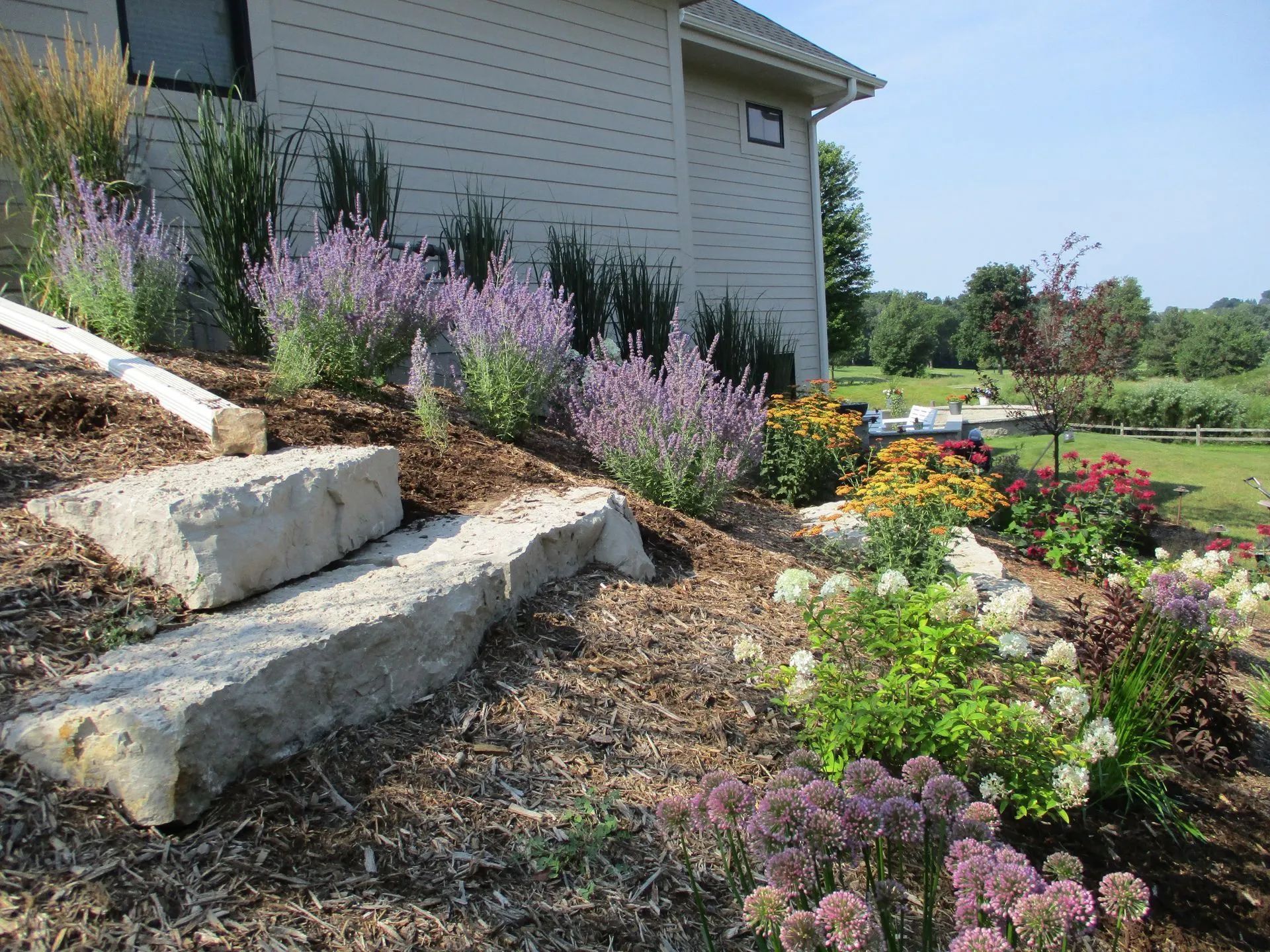 A garden bed with stone steps on a slope beside a house, featuring lavender, flowering shrubs, and wood mulch.