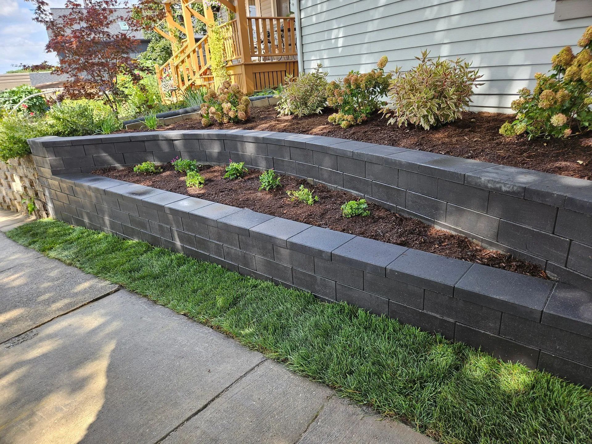 A curved charcoal-colored retaining wall borders a garden bed with small green plants, set beside a paved sidewalk.