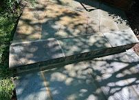 Concrete steps in dappled sunlight beside a brick wall and shadowed ground.