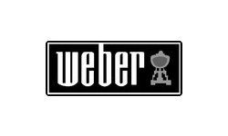 Broil Weber