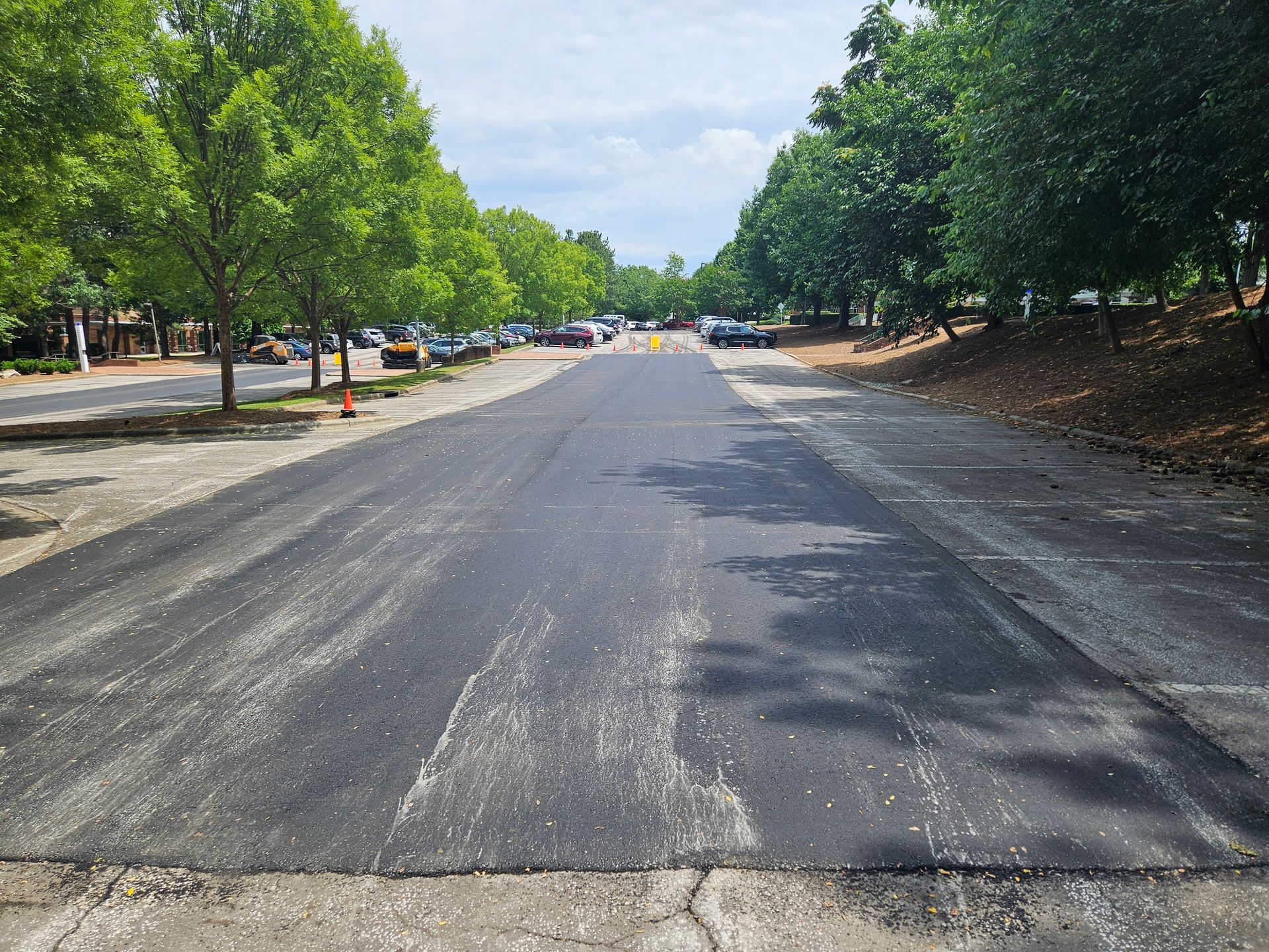 A road with a lot of trees on the side of it.
