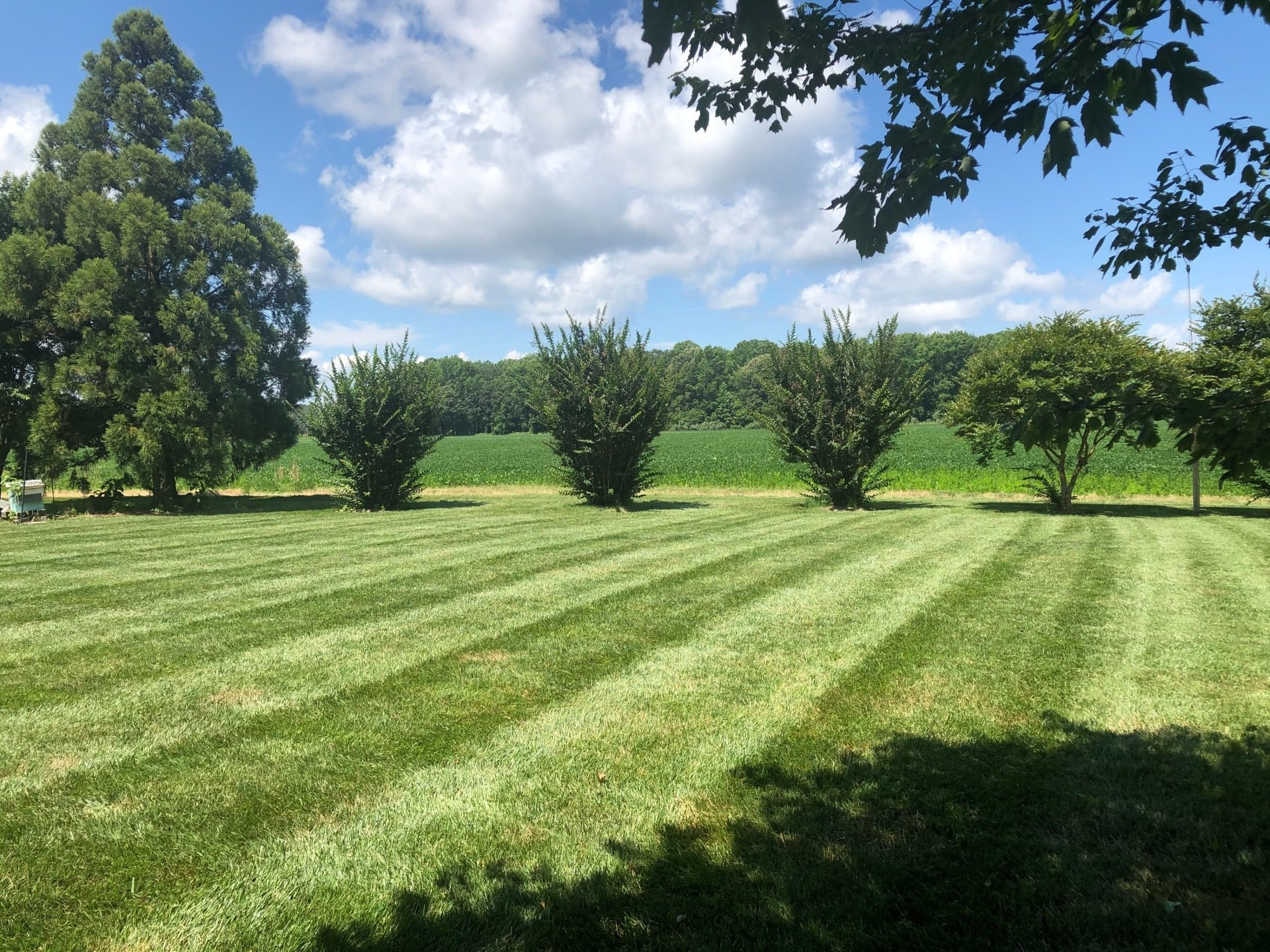 Lawn with striped pattern, trees, and cloudy blue sky. A field is in the background.