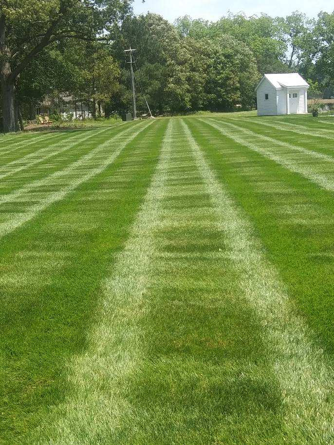 Freshly mowed lawn with green and lighter green stripes, a small white shed in the distance.