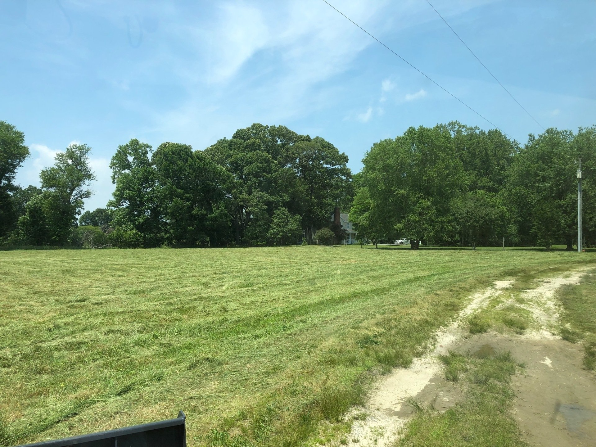 Mowed field with trees in the background under a blue sky. Dirt path on right.