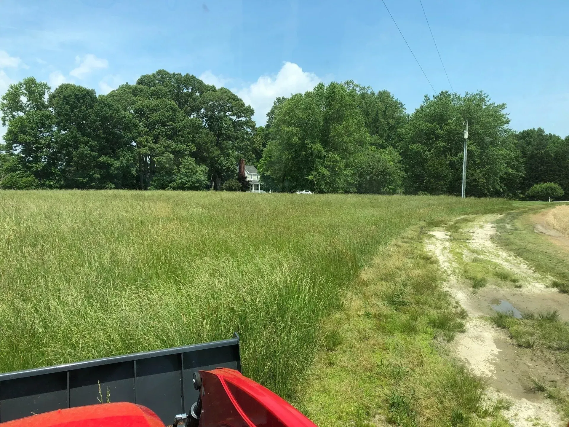 A tractor clearing a grassy field with trees and a dirt path on a sunny day.