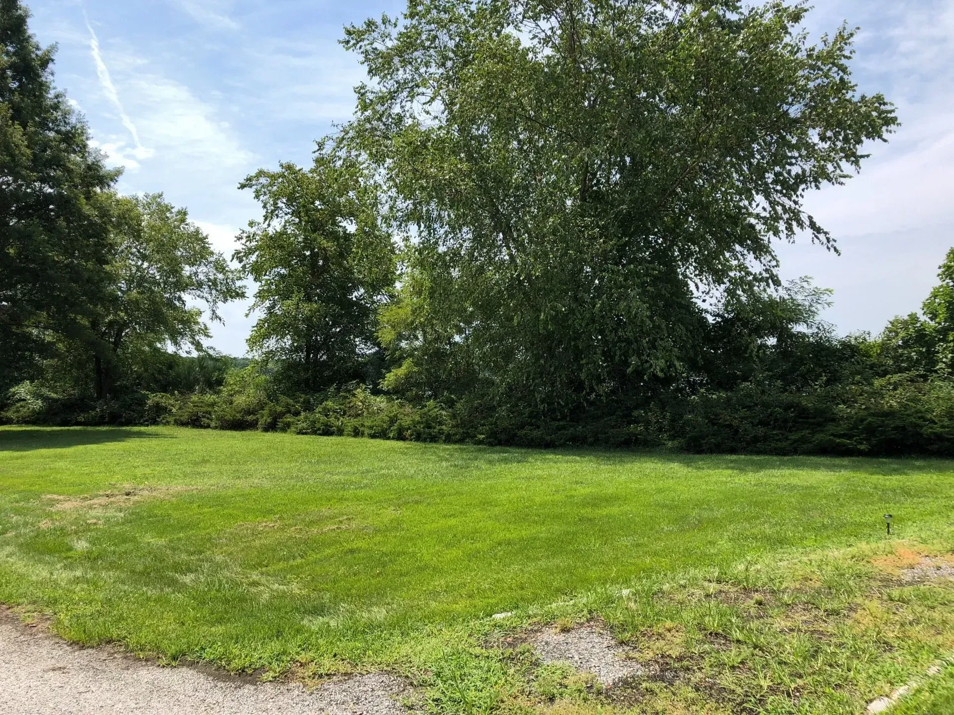 Green lawn in foreground, with trees and shrubs in the background under a blue sky.