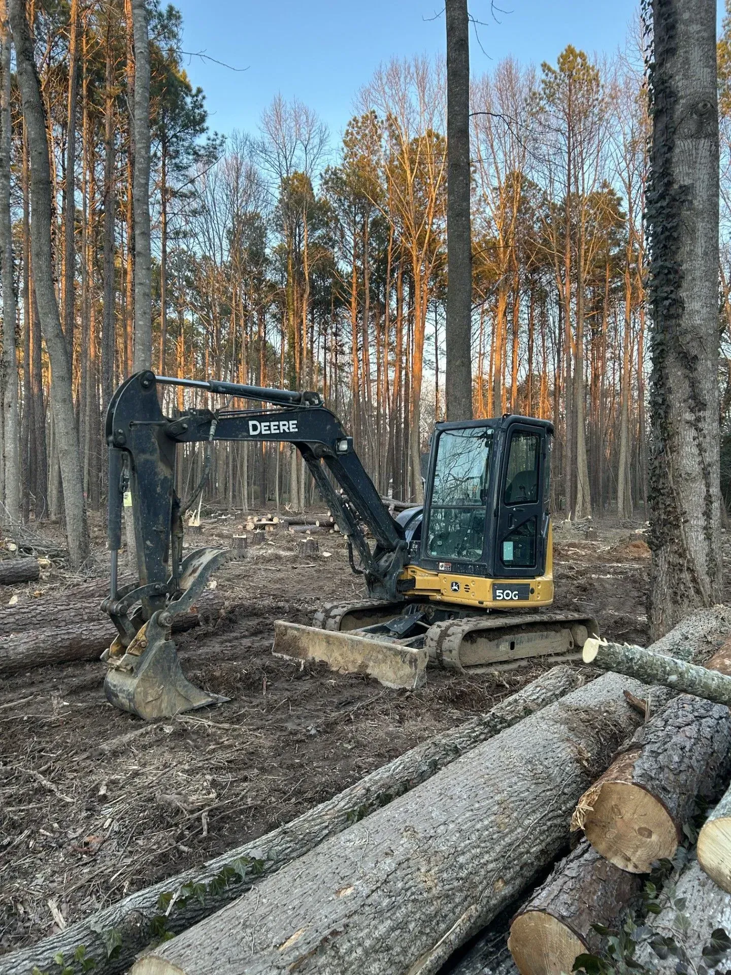 Mini excavator in a forest clearing, logs on ground.