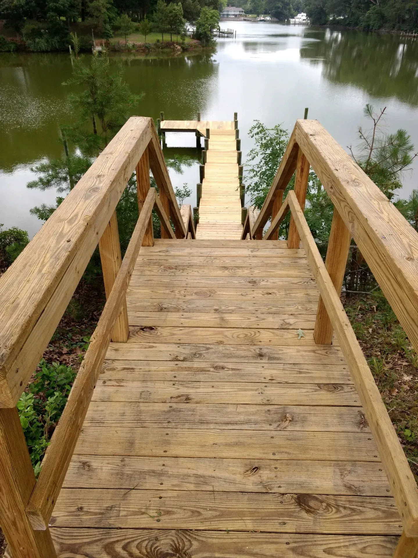 Wooden staircase leading down to a dock over a murky lake.