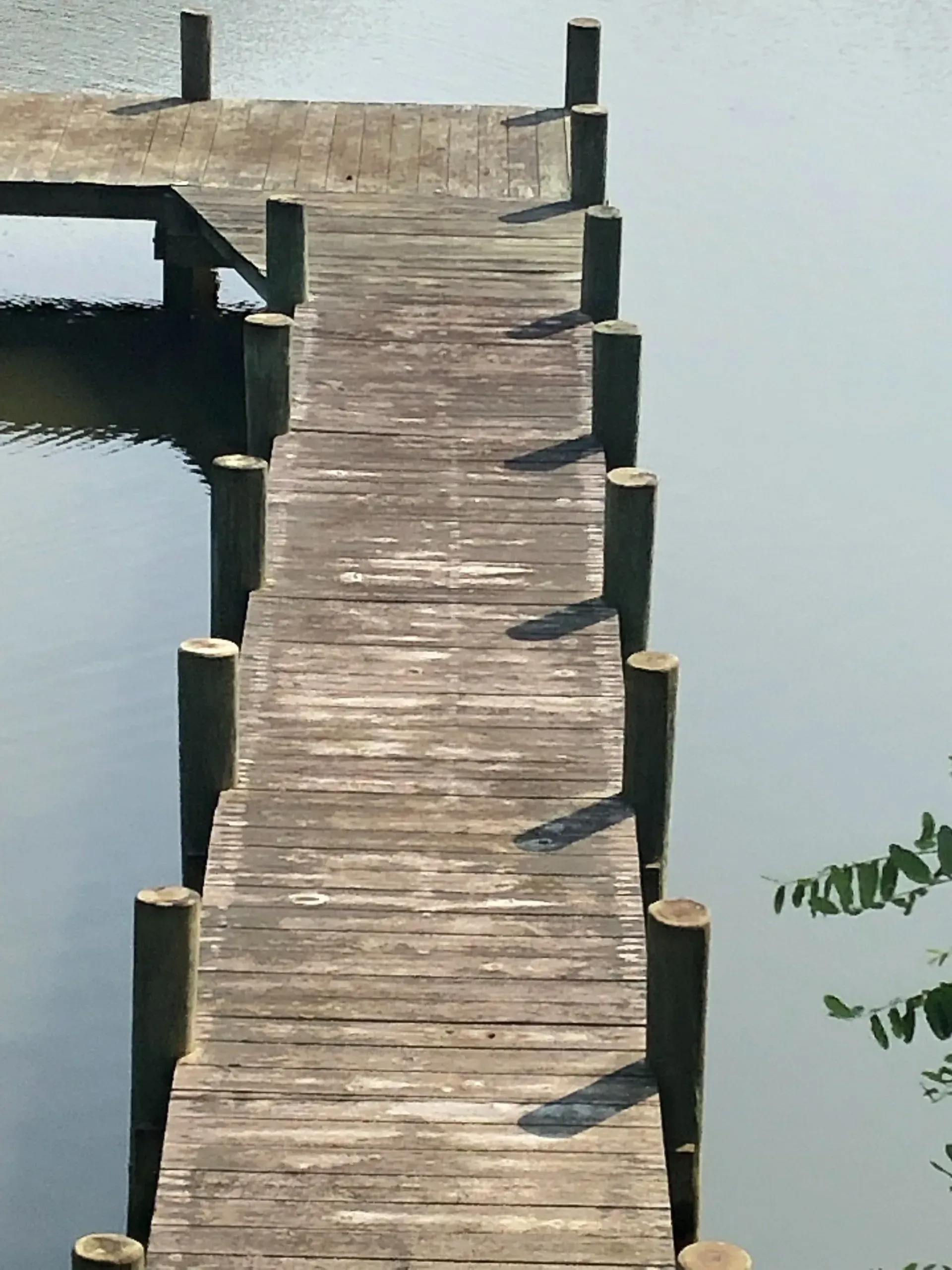 Wooden dock extending into calm water, with pilings along the sides.