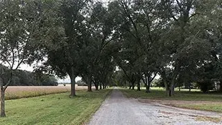 Gravel road lined with trees, beside a field of crops on a cloudy day.