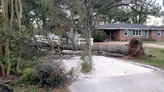 Fallen tree blocking a road in front of a brick house. Debris and uprooted tree visible.