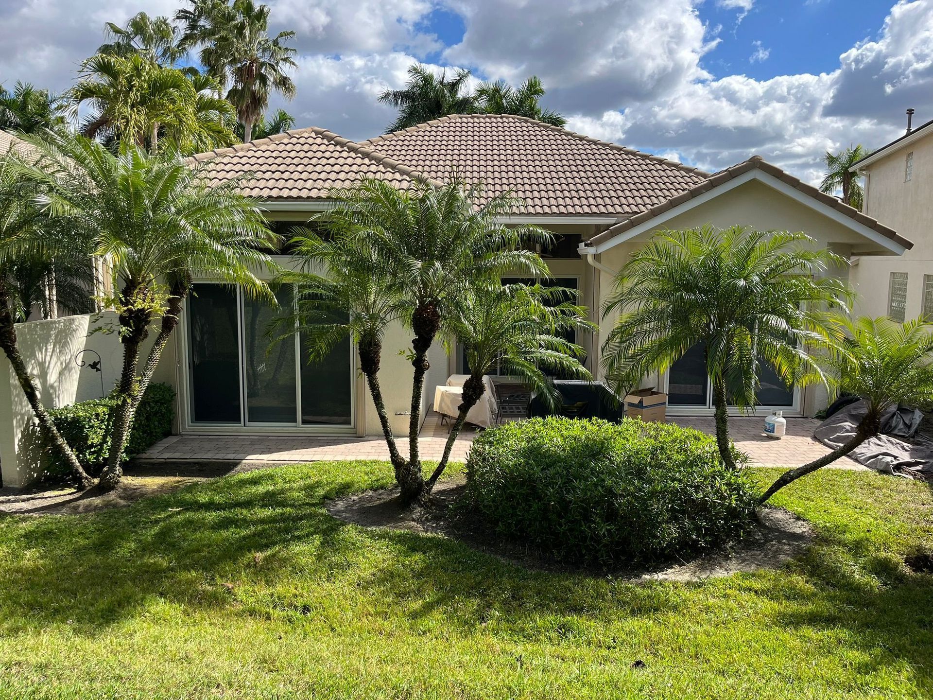 A house with a lot of palm trees in front of it