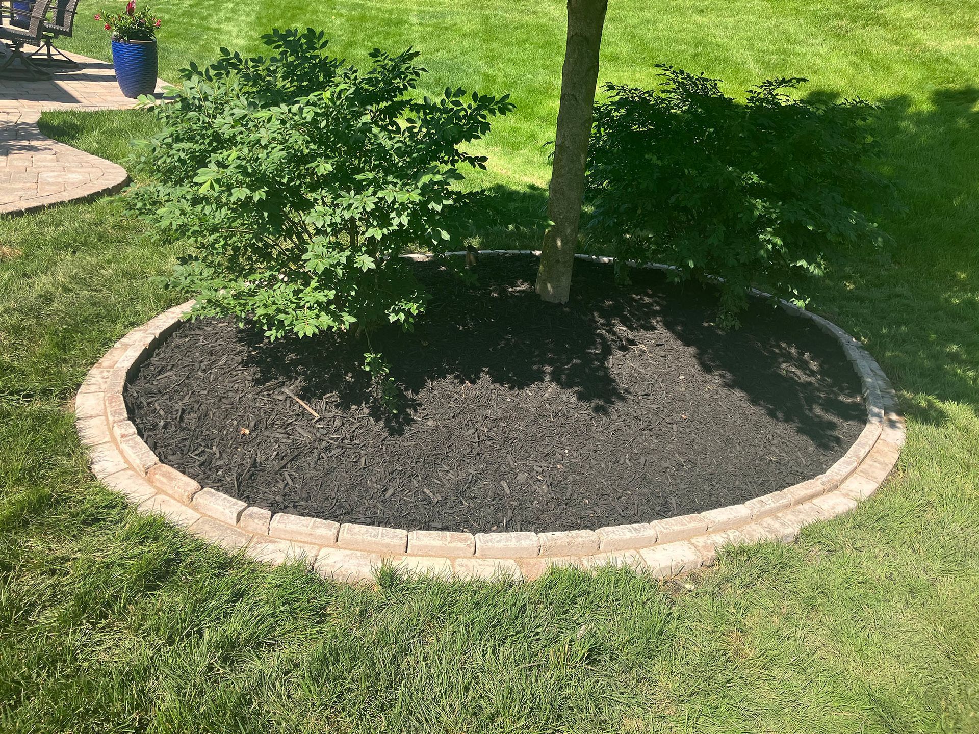 a tree is surrounded by mulch in a circle in the middle of a lush green lawn