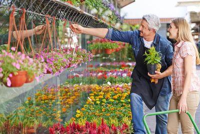 Houston Plants & Garden World Inc