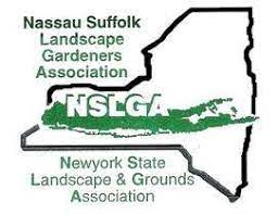 NSLGA