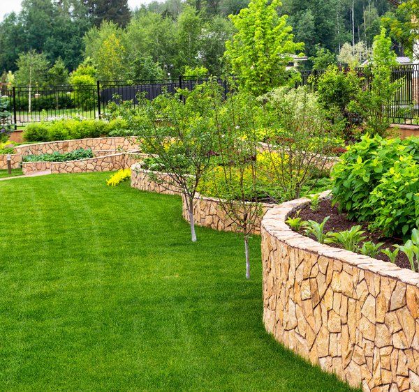 Lawn and hardscape