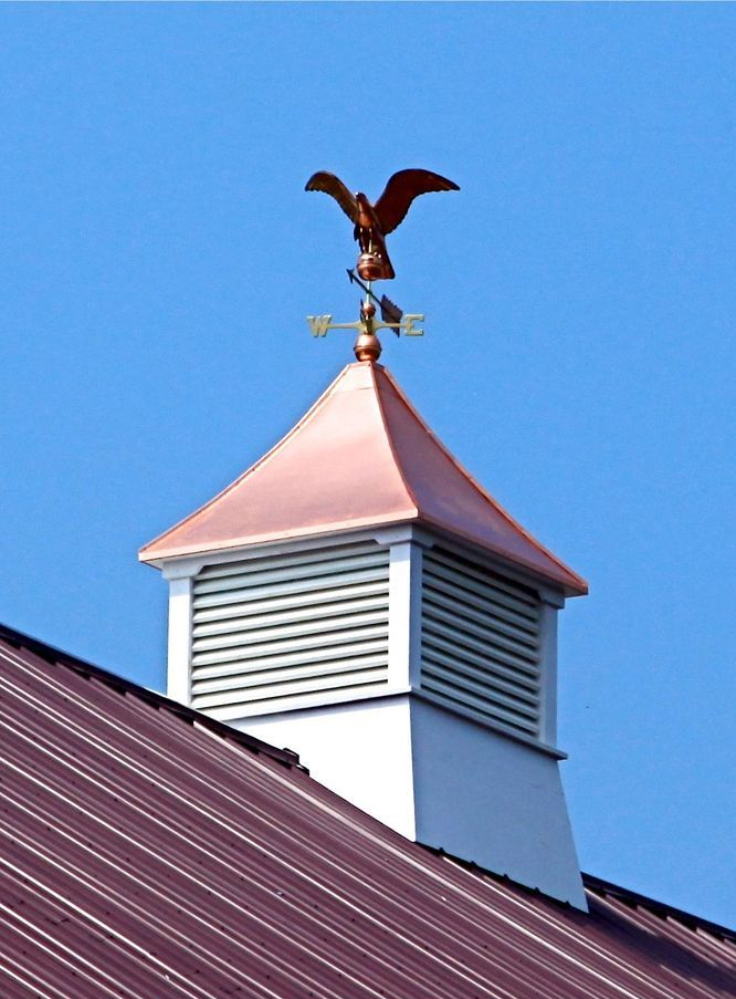 Woman with brown hair laughs, wearing a green shirt, against a white background.