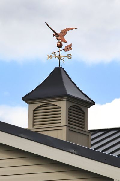 Copper falcon weathervane atop a vent on a building, pointing east, against a blue sky.