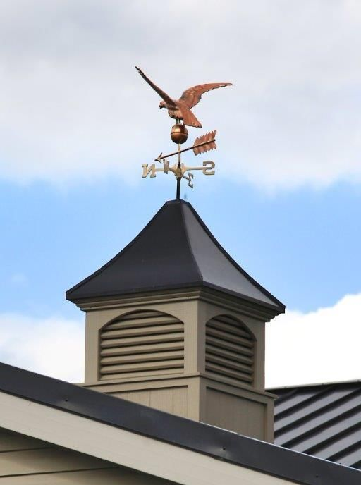 Close-up of a green fan palm leaf with sunlight creating stripes.